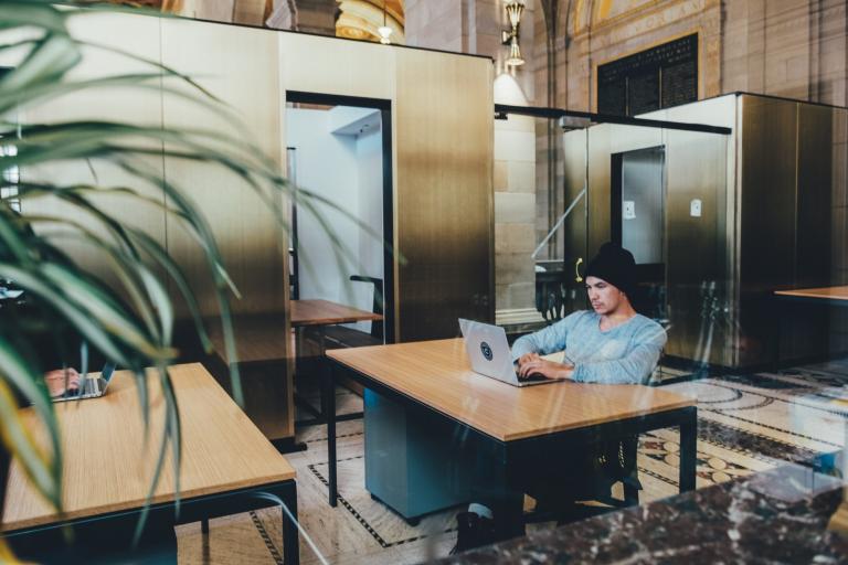 A person working on a laptop at a desk in a quiet, plant-filled office.